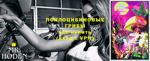 шишки Бронницы