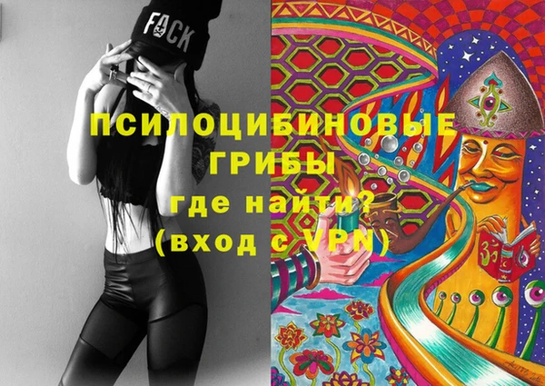 гидропоника Бугульма