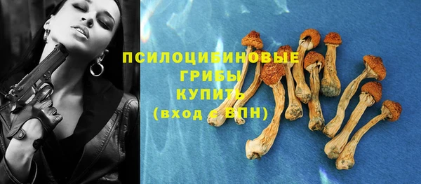 мяу мяу кристалл Богданович