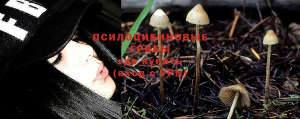 синтетический гашиш Бородино