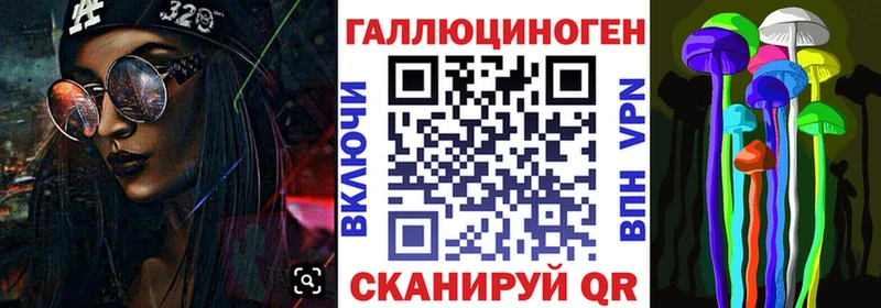 Псилоцибиновые грибы Psilocybe  Купить закладки  Горняк 